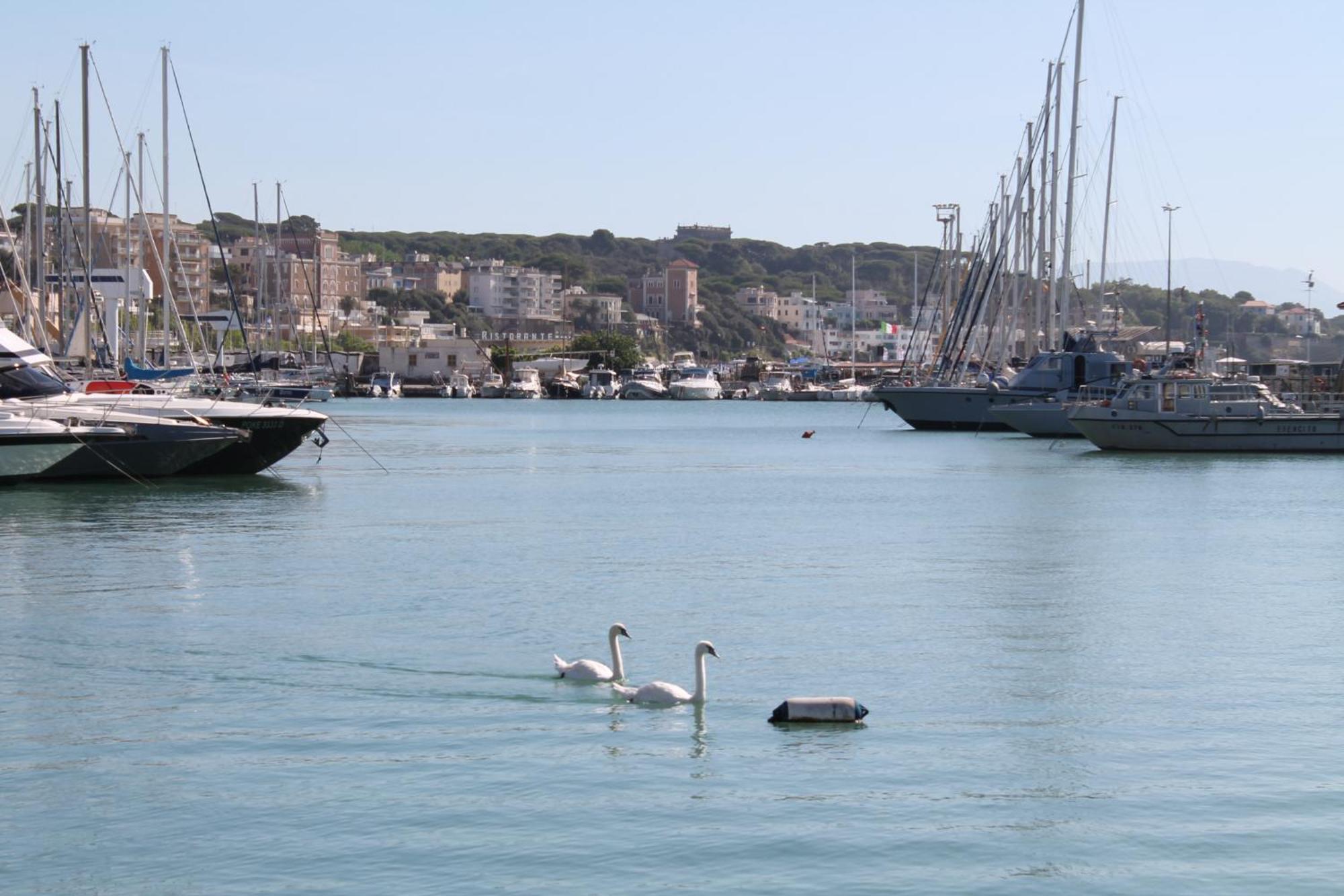 La Maison Sul Porto Bed & Breakfast Anzio Dış mekan fotoğraf