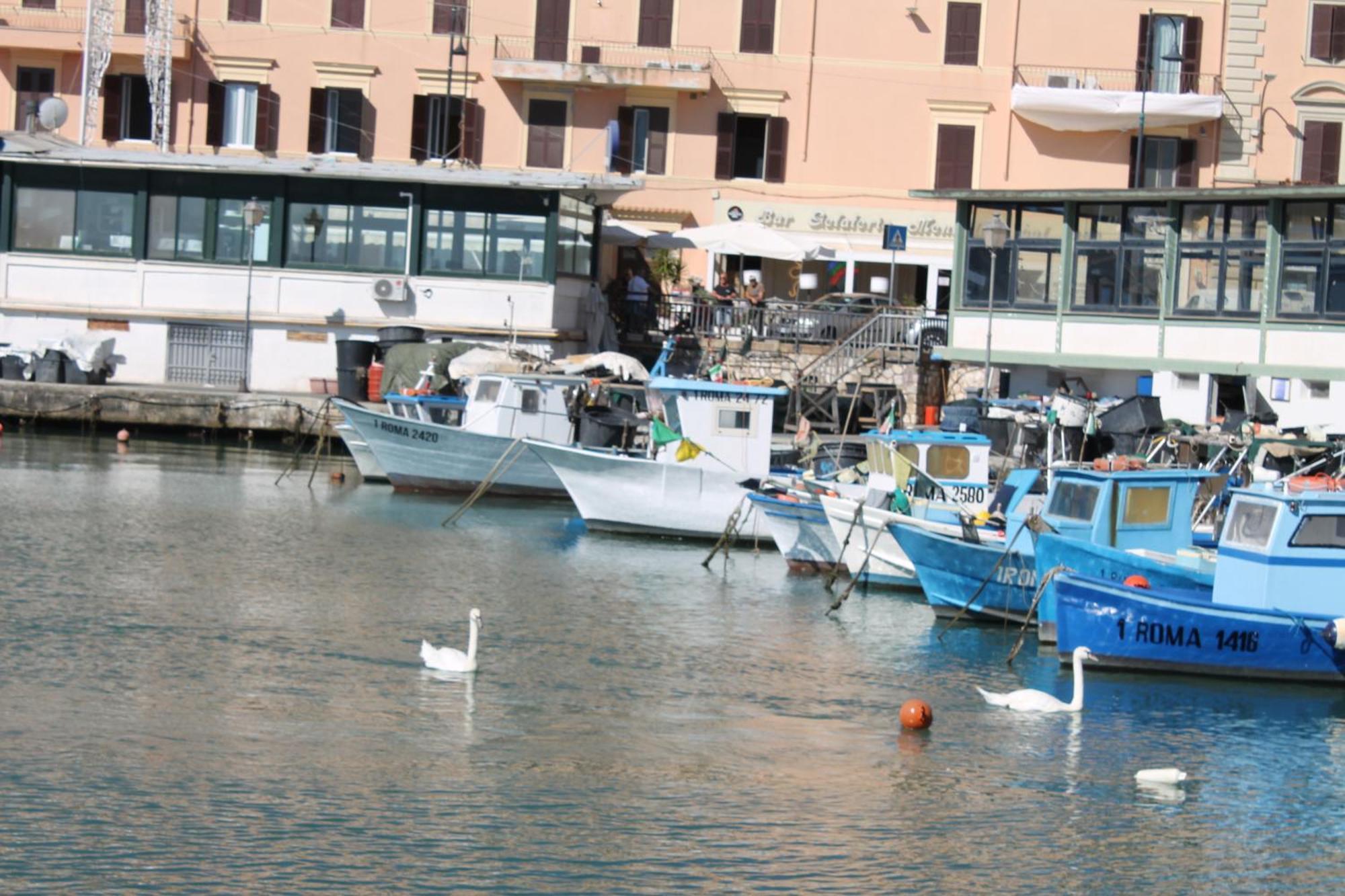 La Maison Sul Porto Bed & Breakfast Anzio Dış mekan fotoğraf